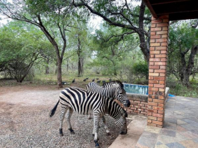 Soenie Kruger Safari